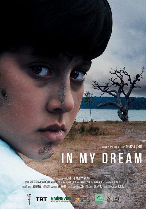 In My Dream-POSTER-01
