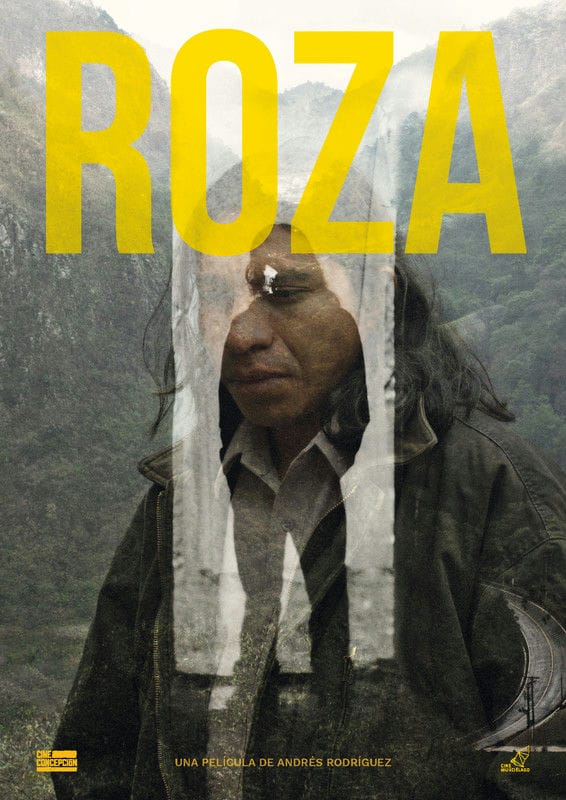 Roza-POSTER-1
