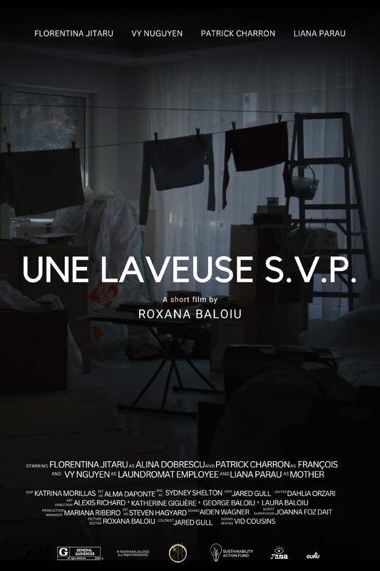 Une Laveuse S.V.P. (One Washer Please) poster